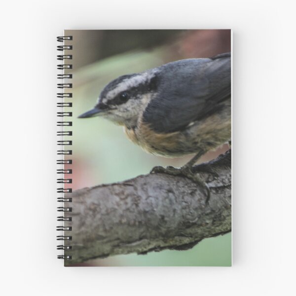 Item preview, White Breasted Nuthatch.  designed and sold by CanadianWild418.