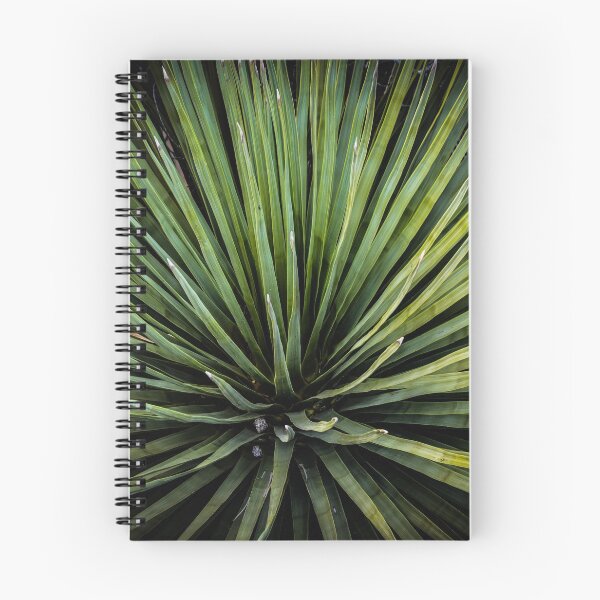 Item preview, Yucca designed and sold by enricofarina.