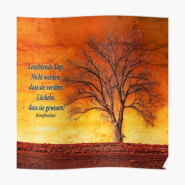 Confucius: Bright days. Poster