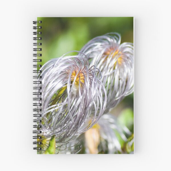 Item preview, Alpine Plants. designed and sold by CanadianWild418.