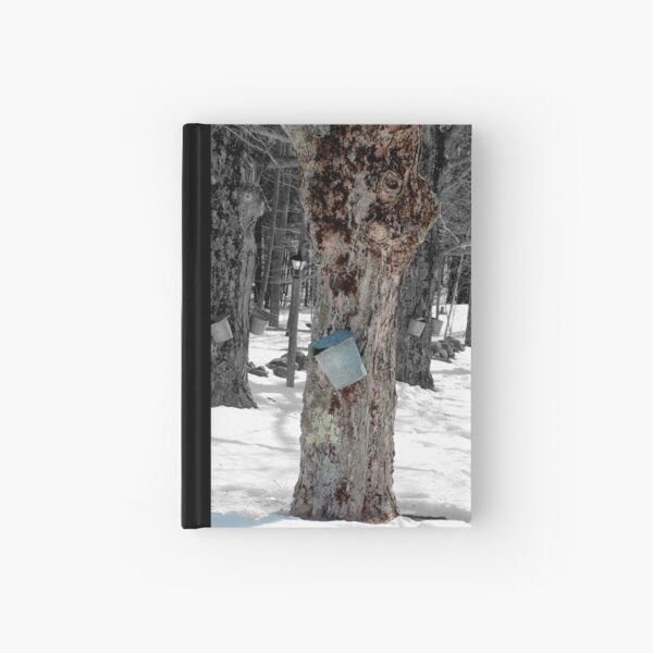 spring! Hardcover Journal