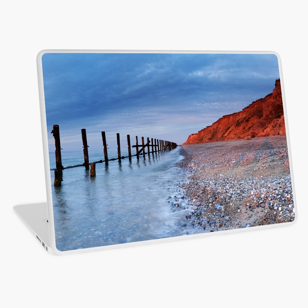 Item preview, Laptop Skin designed and sold by sjbowen.