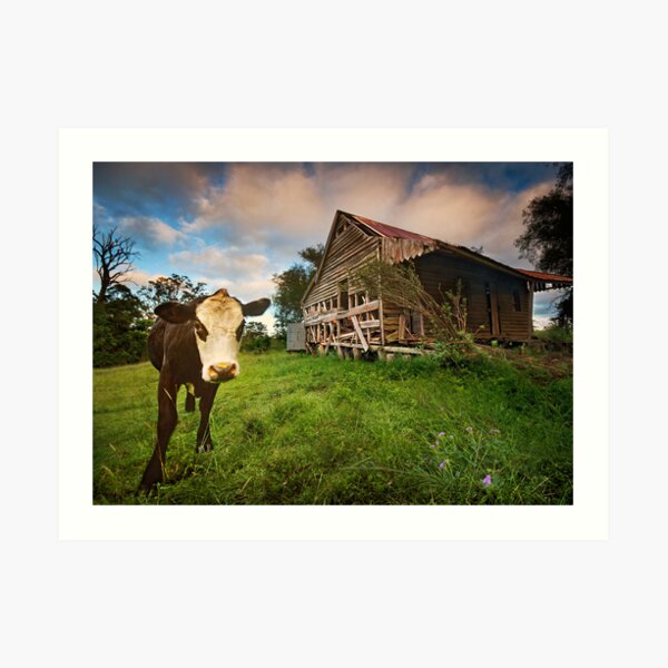 Daisy's Place Art Print