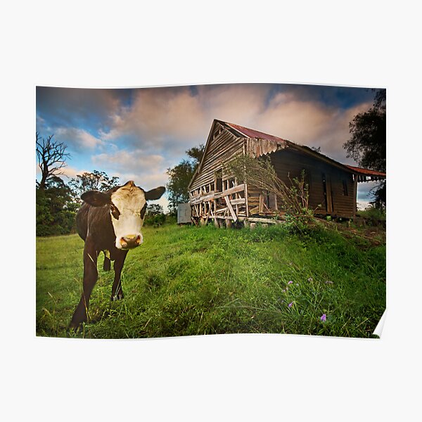 Daisy's Place Poster