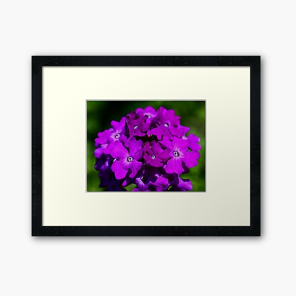 Item preview, Purple Bouquet designed and sold by Chet  King.