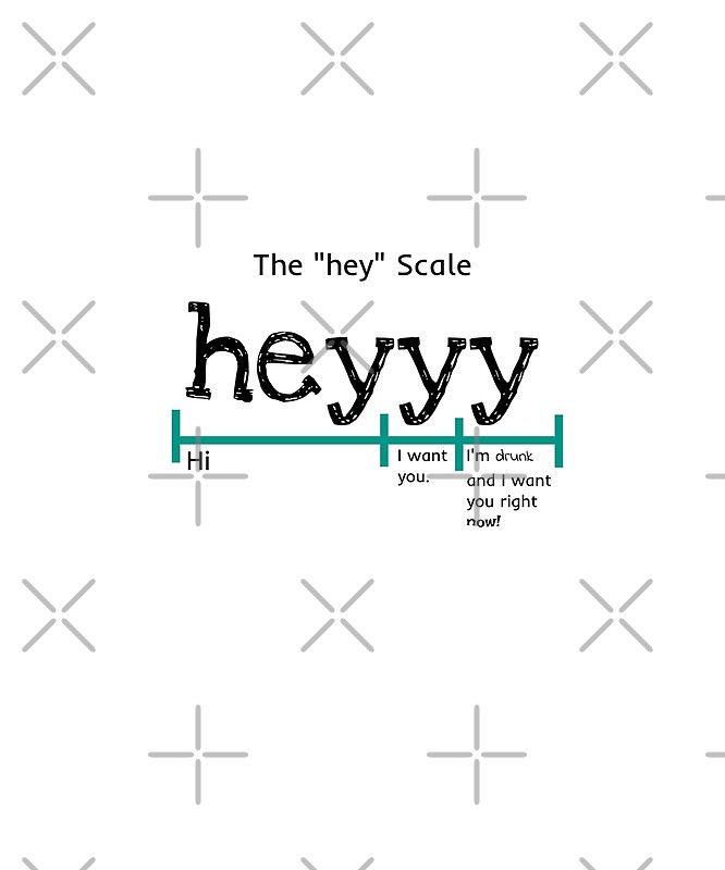 the hey scale shirt