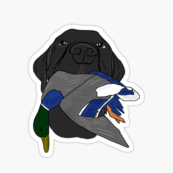 Pointless!English Setter Gun Dog Decal Sticker Hunting Without My Dog
