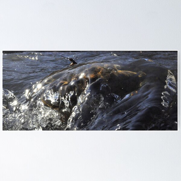 Item preview, Yes, Another Water Photo designed and sold by Corkle.