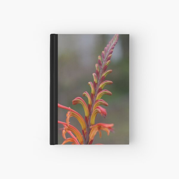 Simplicity Itself Hardcover Journal