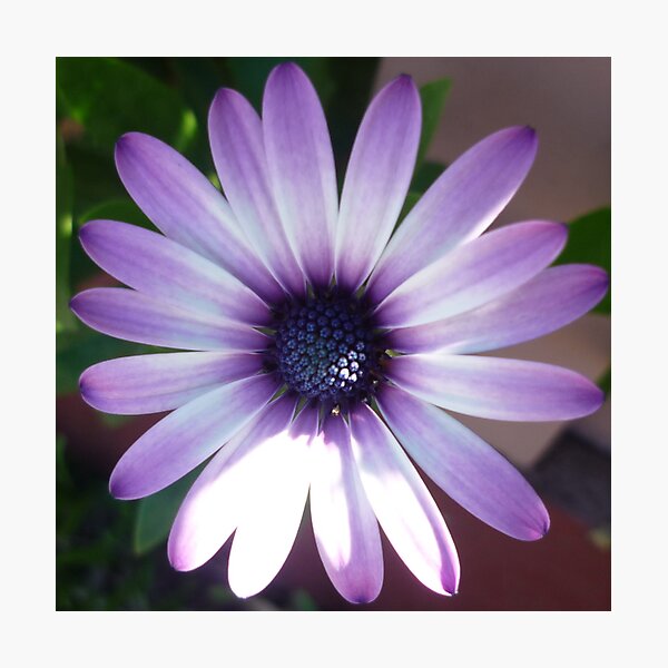 Item preview, Purple designed and sold by Jacob Tansey.