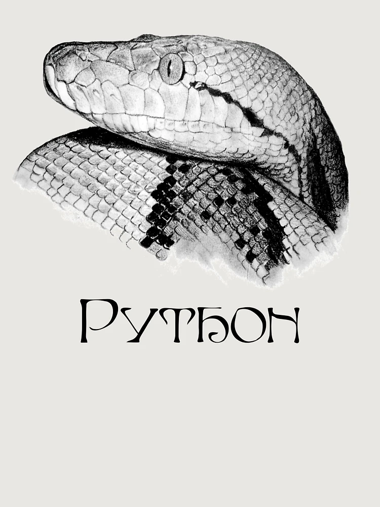 Thumbnail 6 of 6, Premium Oversized Sweatshirt, Python - Snake - Python Shirt - Python Shirt - Python Painting - Python Drawing - Snake Gift - Snake Lovers - Python Gift designed and sold by Galvanized.