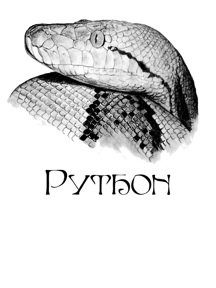 Thumbnail 7 of 7, Oversized T-Shirt, Python - Snake - Python Shirt - Python Shirt - Python Painting - Python Drawing - Snake Gift - Snake Lovers - Python Gift designed and sold by Galvanized.