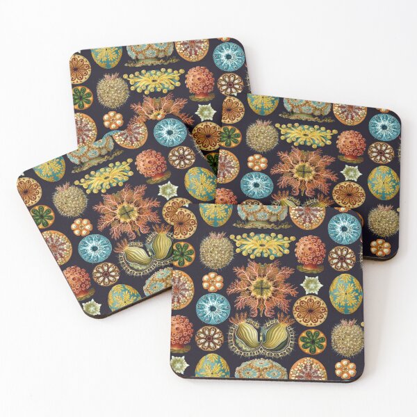Item preview, Ernst Haeckel Ascidiae Sea Squirts  designed and sold by aimeewilson.