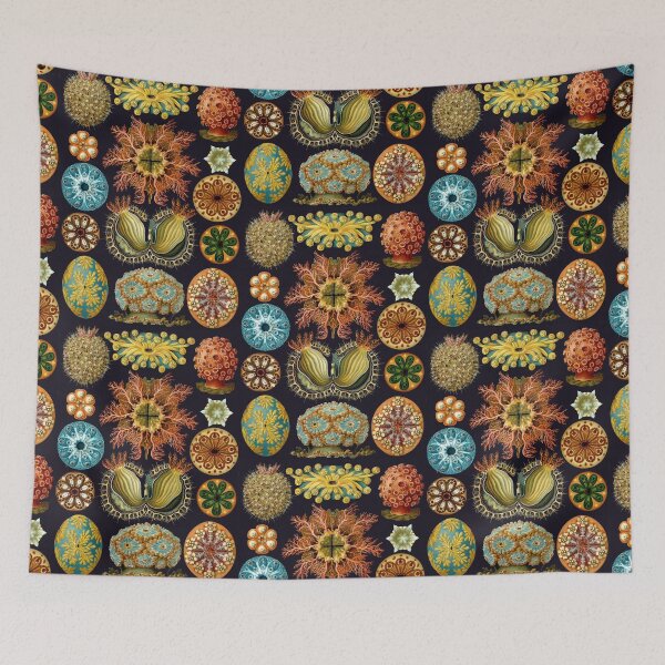 Item preview, Ernst Haeckel Ascidiae Sea Squirts  designed and sold by aimeewilson.