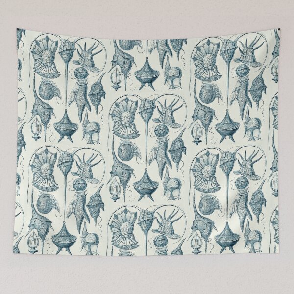 Item preview, Ernst Haeckel Peridinea Plankton  designed and sold by aimeewilson.