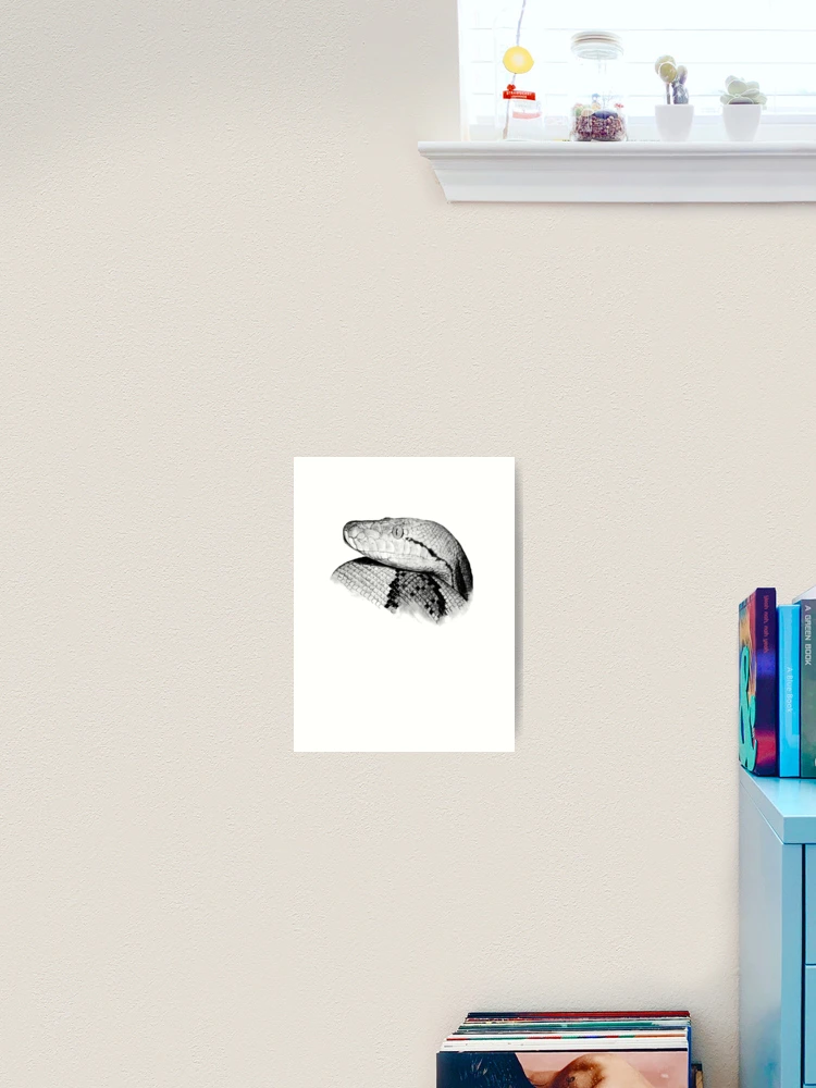 Thumbnail 2 of 3, Art Print, Python - Snake - Python Shirt - Python Shirt - Python Painting - Python Drawing - Snake Gift - Snake Lovers - Python Gift designed and sold by Galvanized.