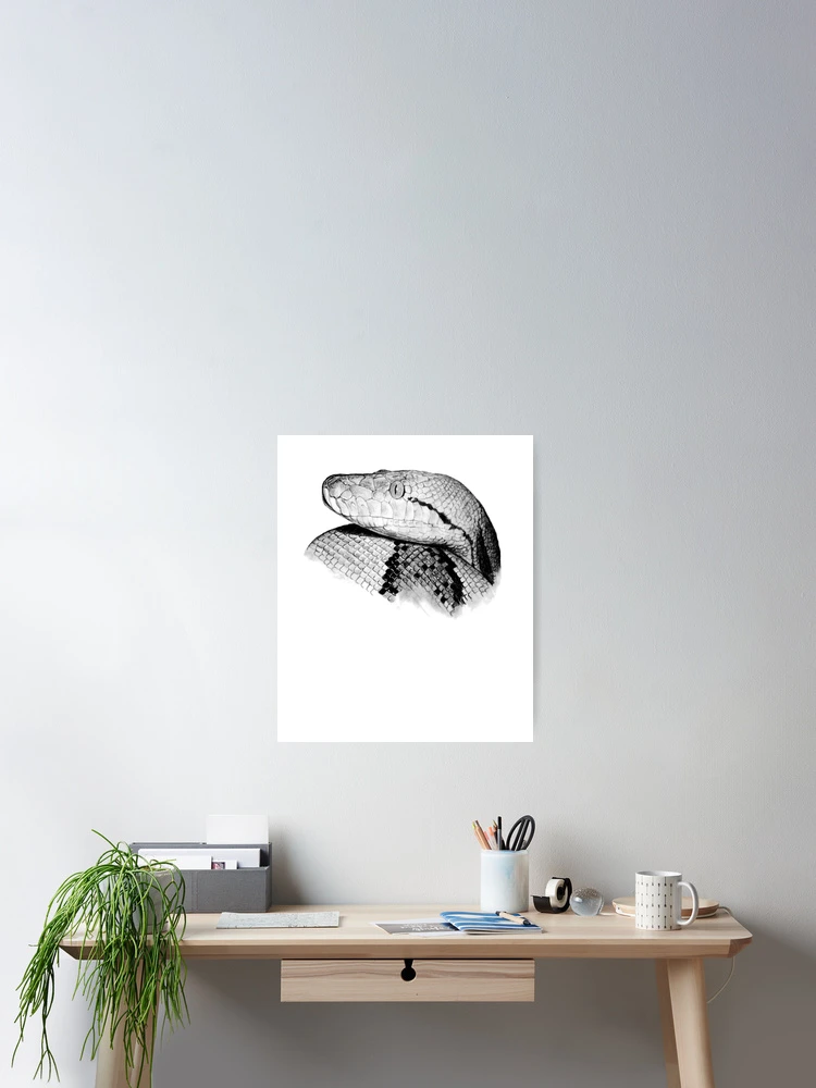 Thumbnail 2 of 3, Poster, Python - Snake - Python Shirt - Python Shirt - Python Painting - Python Drawing - Snake Gift - Snake Lovers - Python Gift designed and sold by Galvanized.