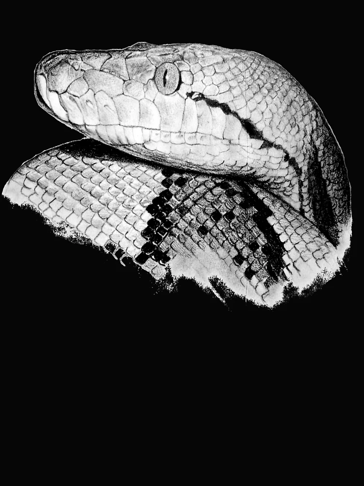 Thumbnail 4 of 4, Boxy T-Shirt, Python - Snake - Python Shirt - Python Shirt - Python Painting - Python Drawing - Snake Gift - Snake Lovers - Python Gift designed and sold by Galvanized.