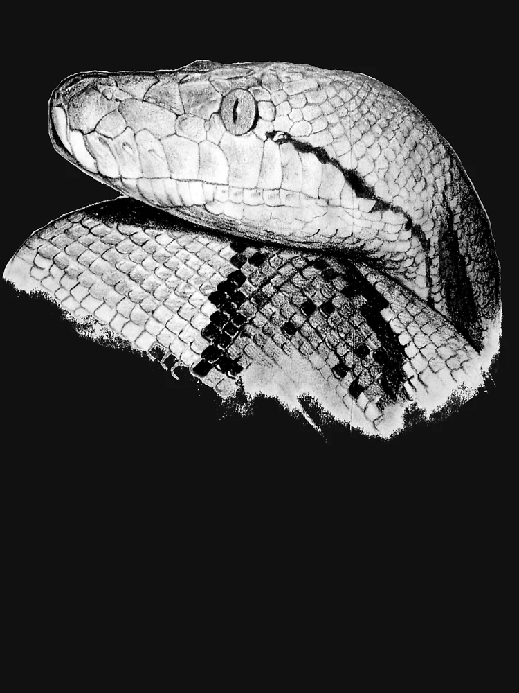 Thumbnail 6 of 6, Premium Oversized Hoodie, Python - Snake - Python Shirt - Python Shirt - Python Painting - Python Drawing - Snake Gift - Snake Lovers - Python Gift designed and sold by Galvanized.