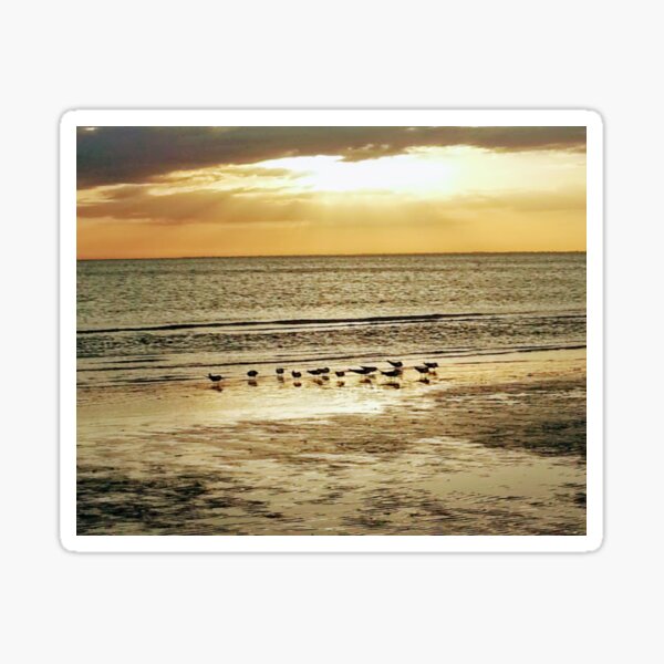 Beach Sunset Sticker