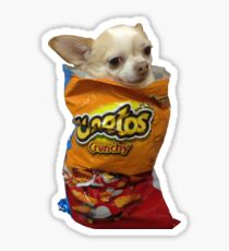 Crunch Doge Sticker