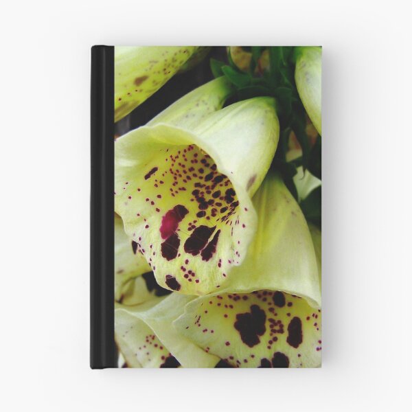 Item preview, Bells designed and sold by Beatrix Kalman.