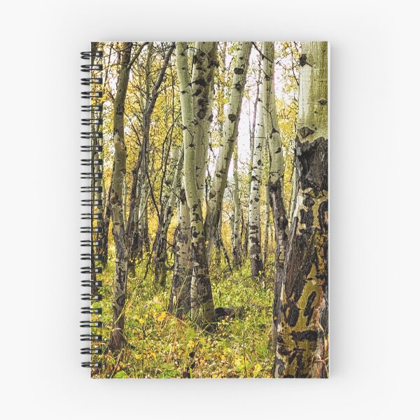 Item preview, Rain-Soaked Aspen Bark designed and sold by Belinda Greb Photography.