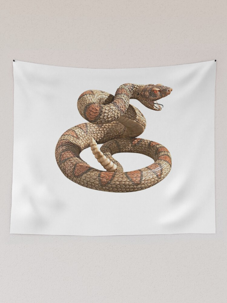 Soplar Delegar espejo de puerta Tela decorativa «Serpiente de cascabel - Serpiente - Camisa de serpiente de  cascabel - Camisa de serpiente de cascabel - Pintura de serpiente de  cascabel - Dibujo de serpiente de cascabel -