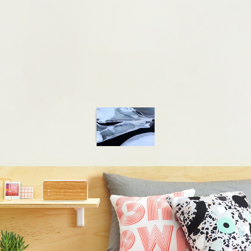 Item preview, Photographic Print designed and sold by shadydog.