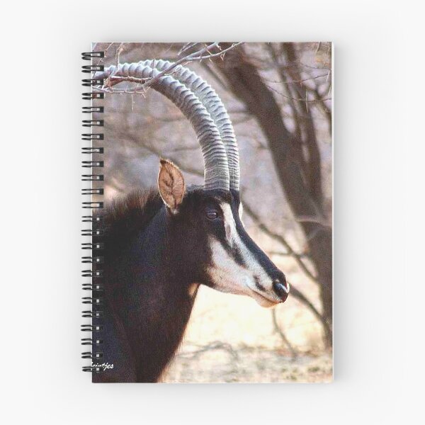 Item preview, SABLE - Hippotragus niger designed and sold by Magriet Meintjes.