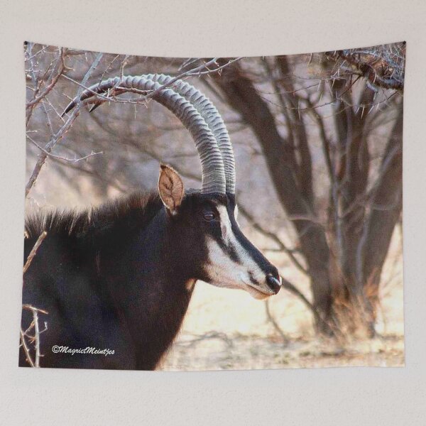 Item preview, SABLE - Hippotragus niger designed and sold by Magriet Meintjes.