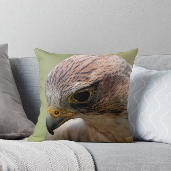 Item preview, Saker Falcon designed and sold by Wild One.