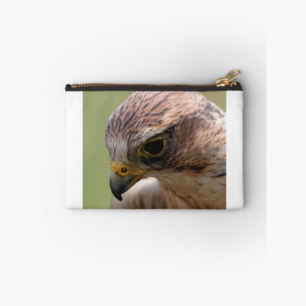 Item preview, Saker Falcon designed and sold by Wild One.