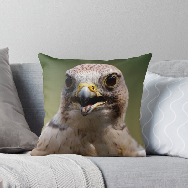 Item preview, Saker Falcon designed and sold by Wild One.