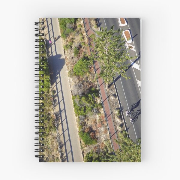 Item preview, Pathways designed and sold by evenflow.