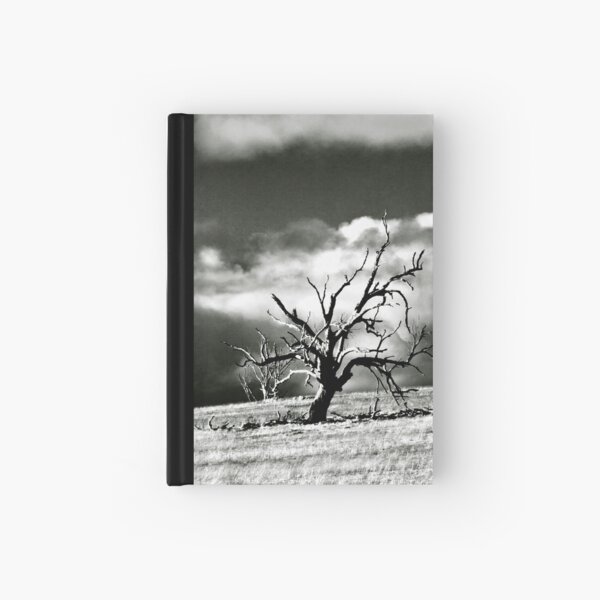 windswept Hardcover Journal