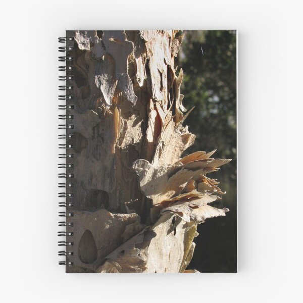 Item preview, Paperbark; study in texture designed and sold by sunrisecoast.