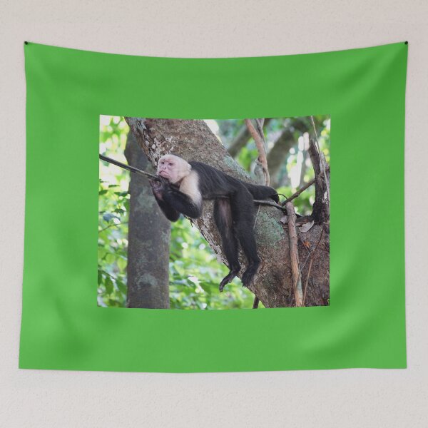 Item preview, Hanging Out designed and sold by Lanis Rossi.