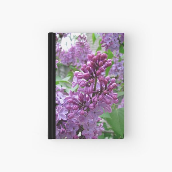 Lilacs II Hardcover Journal