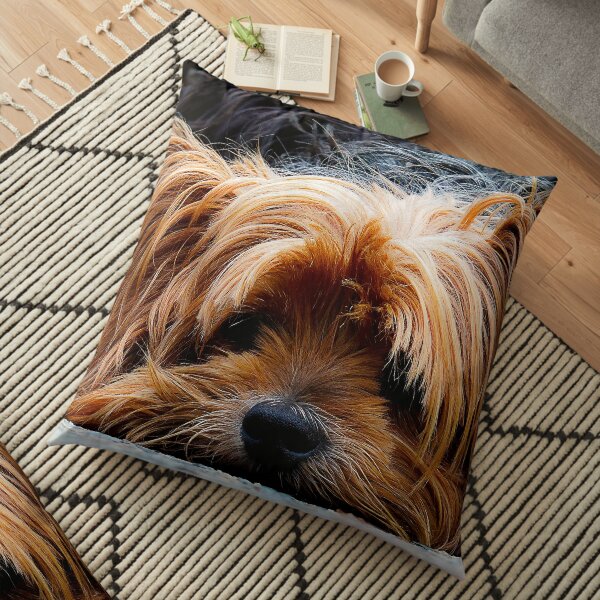 Yorkshire Terrier Pillows Cushions Redbubble