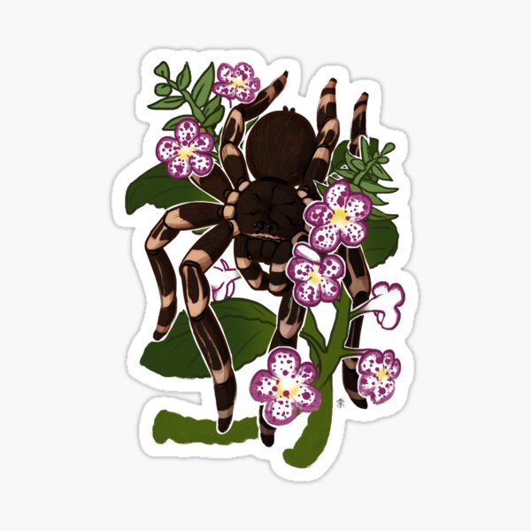 Item preview, Acanthoscurria geniculata designed and sold by the8thpage.