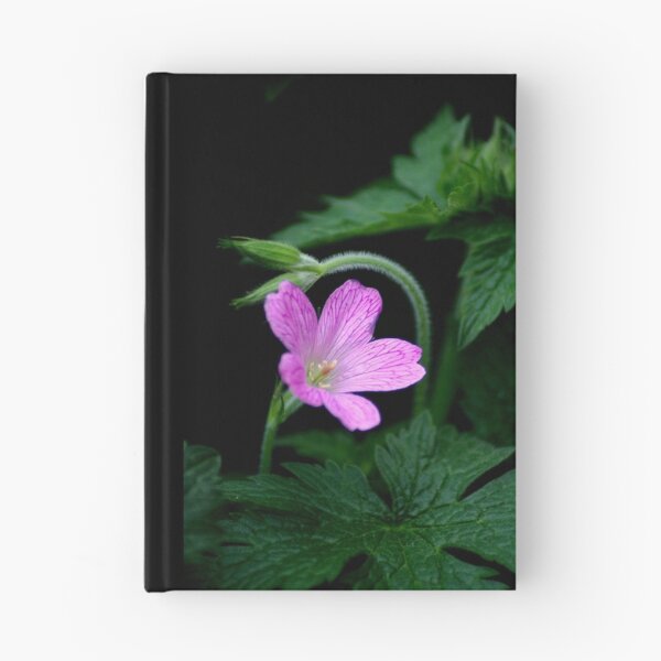 Item preview, Geranium designed and sold by orchiddesign.