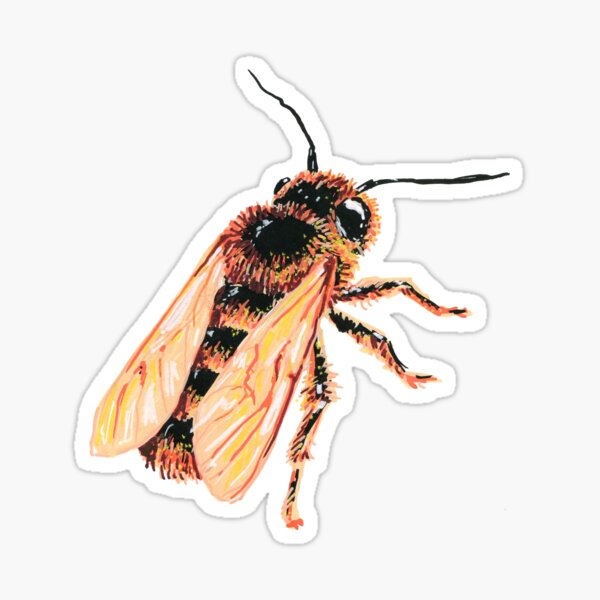 Red mason bee Sticker