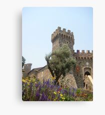 winery Canvas Print