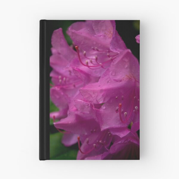 Item preview, Pink Rhododendron designed and sold by jenndes.