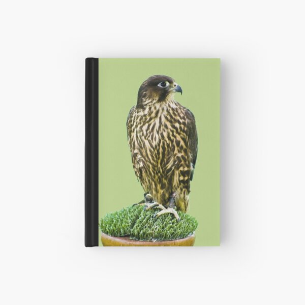 Falcon Hardcover Journal