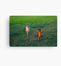 Antsokia Valley, Ethiopia Canvas Print