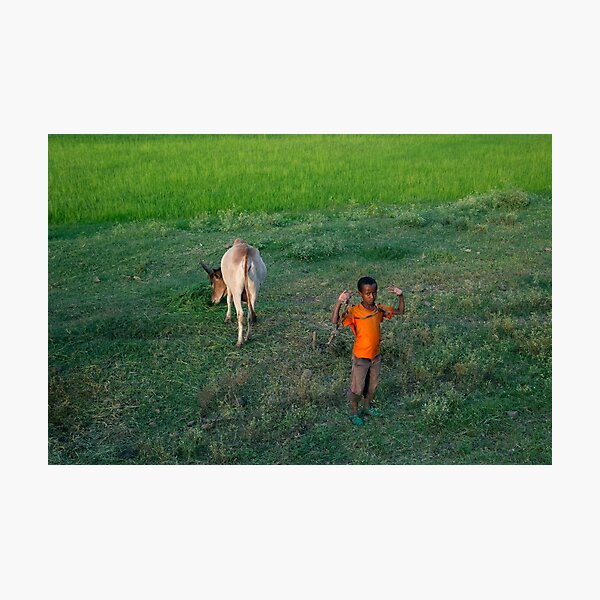 Item preview, Antsokia Valley, Ethiopia designed and sold by docophoto.