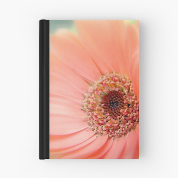 Item preview, Tangarine Sorbert designed and sold by sknelson.
