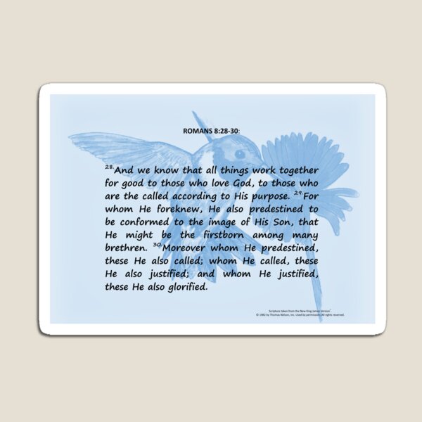 Bible Verses Card - Romans 8:28-30 Magnet